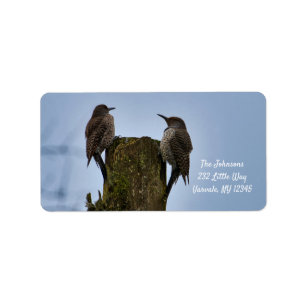 Northern Flicker New Address Label Adressaufkleber