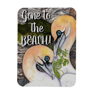 Northern Gannets Magnet