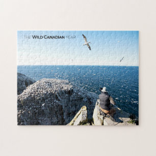 Northern Gannets Puzzle