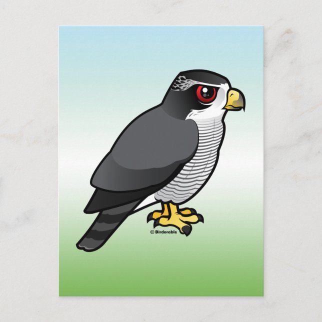 Northern Goshawk Postkarte (Vorderseite)