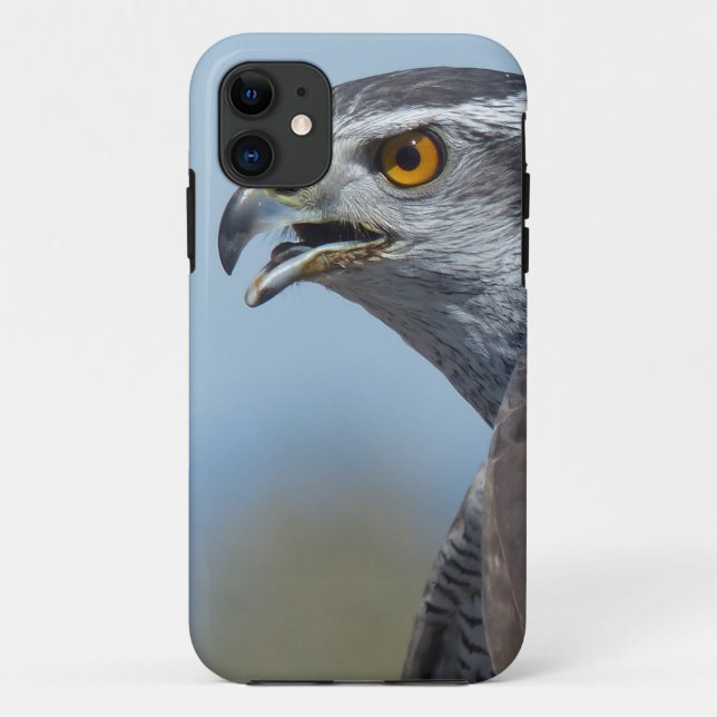 Northern Goshawk Screeching Case-Mate iPhone Hülle (Rückseite)