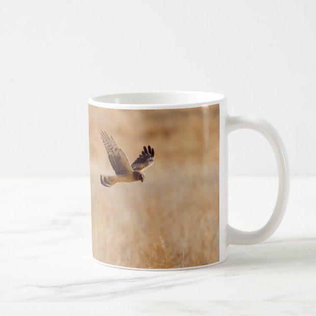 Northern Harrier Coffee Tasse (Rechts)