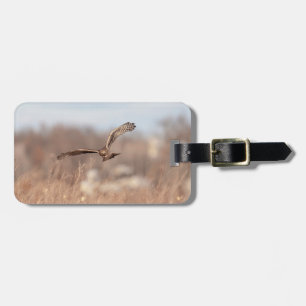 Northern Harrier Gepäckanhänger