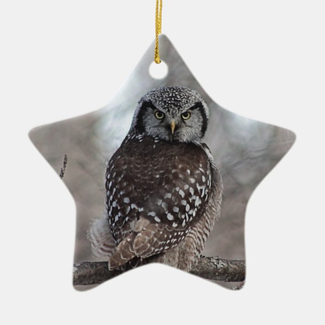 Northern Hawk Owl Keramik Ornament (Vorne)