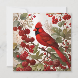 Northern Kardinal Bird Red Berries