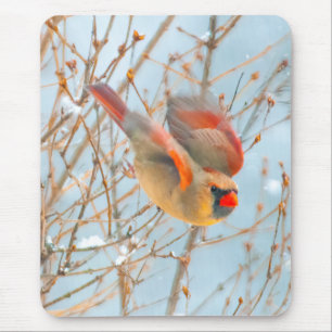 Northern Kardinal Flying - Original Fotografie Mousepad