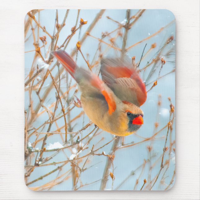 Northern Kardinal Flying - Original Fotografie Mousepad (Vorne)