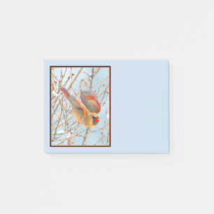 Northern Kardinal Flying - Original Fotografie Post-it Klebezettel