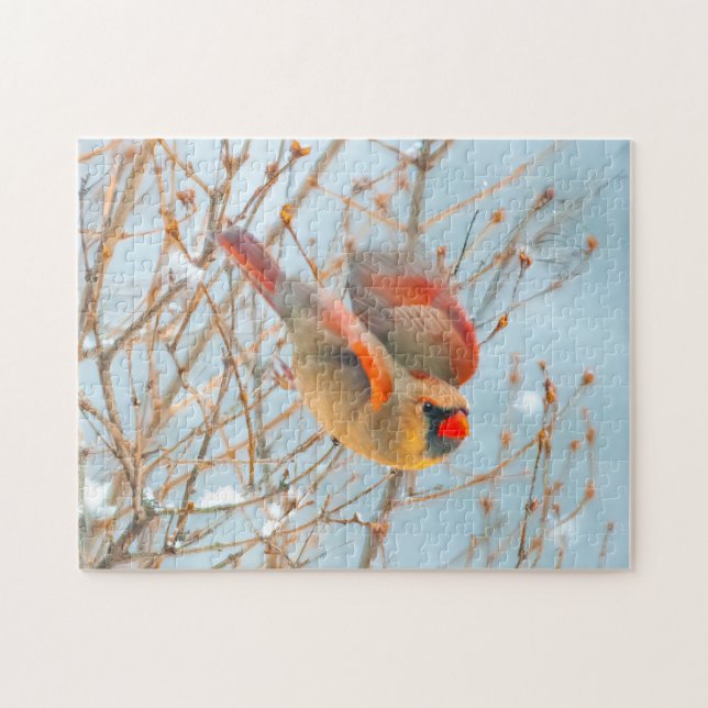 Northern Kardinal Flying - Original Fotografie Puzzle (Horizontal)