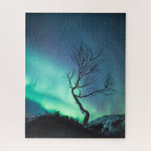 Northern Light Tree Puzzle