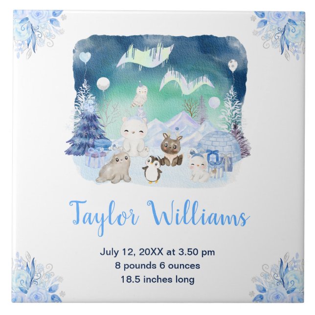 Northern Lights Arctic Animals Birth Statistics Fliese (Vorderseite)