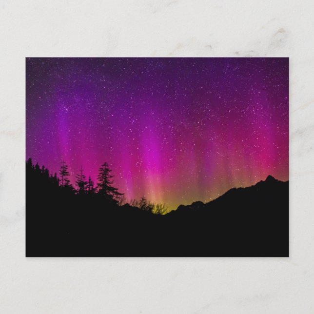 Northern Lights Aurora Borealis Starry Night Sky Postkarte (Vorderseite)