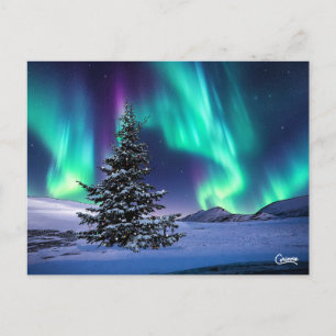 Northern Lights Christmas - Postcard Postkarte