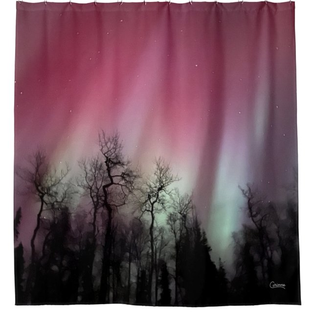 Northern Lights - Duschvorhang (Vorderseite)