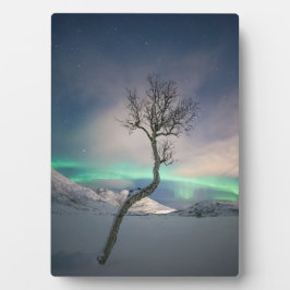 Northern Lights Foto Fotoplatte