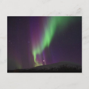 Northern Lights in Lappland, Schweden Postkarte