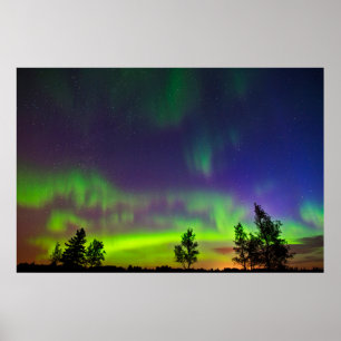 Northern Lights Manitoba Poster