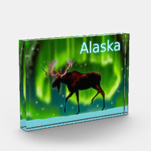 Northern Lights Moose Fotoblock