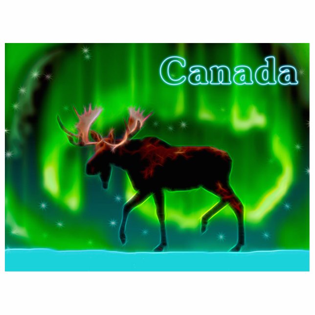 Northern Lights Moose - Kanada Fotoskulptur Magnet (Vorne)