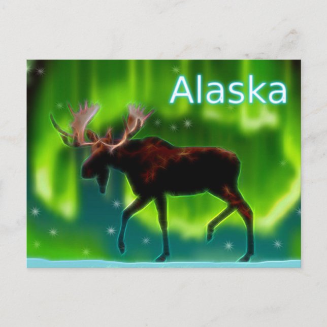 Northern Lights Moose Postkarte (Vorderseite)