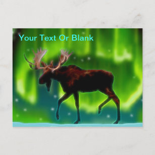 Northern Lights Moose Postkarte