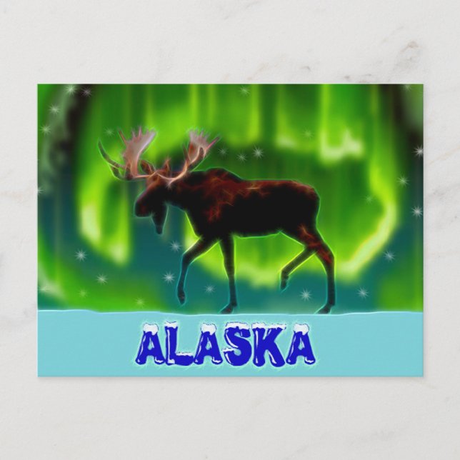 Northern Lights Moose Postkarte (Vorderseite)