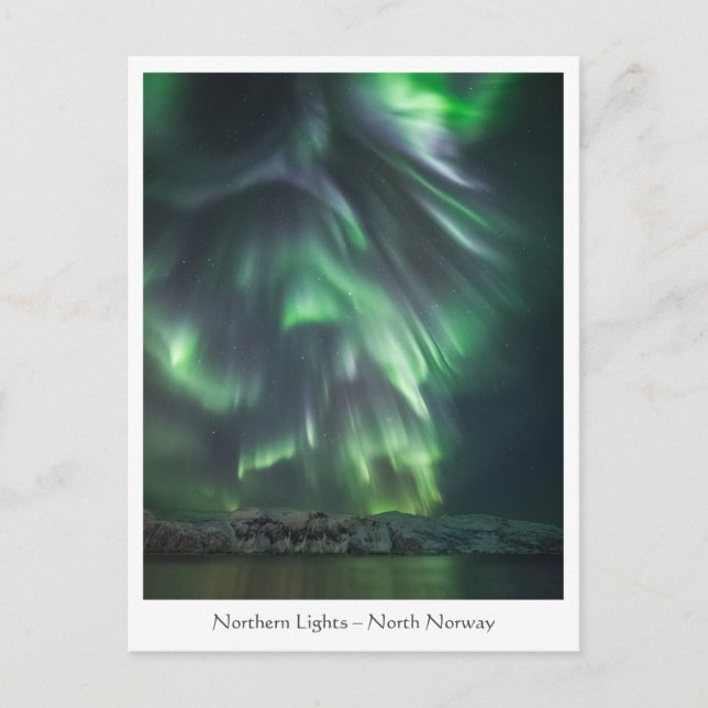 Northern Lights Night Sky Postkarte (Vorderseite)