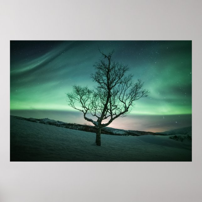 Northern Lights Norwegen Poster (Vorne)