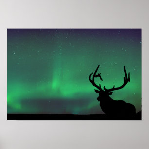 Northern Lights Poster
