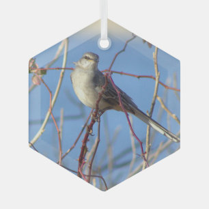 Northern Mockingbird Foto Ornament Aus Glas