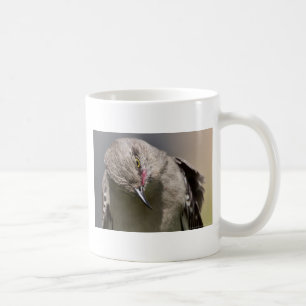 Northern Mockingbird nimmt Bow Apparel & Gifts Kaffeetasse