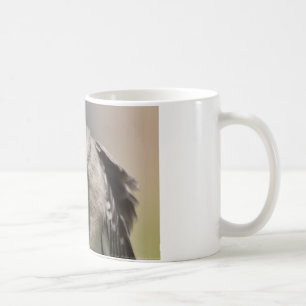 Northern Mockingbird nimmt Bow Apparel & Gifts Tasse