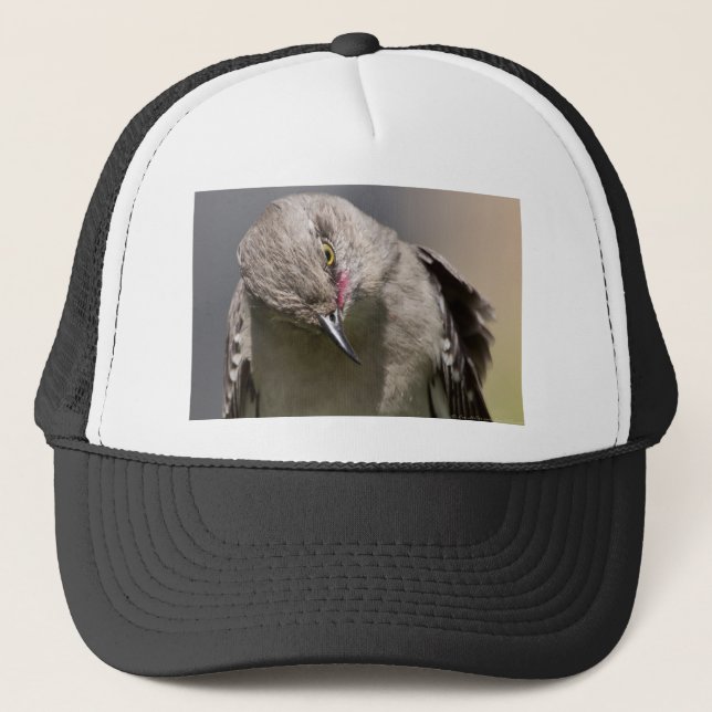 Northern Mockingbird nimmt Bow Apparel & Gifts Truckerkappe (Vorderseite)