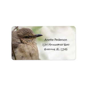 Northern Mockingbird Portrait Bird Foto Address Adressaufkleber