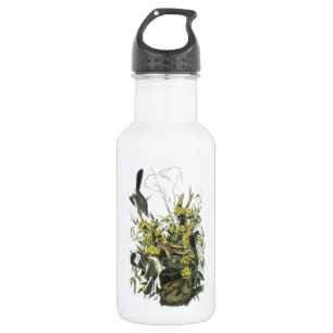 Northern Mockingbird von Audubon Trinkflasche
