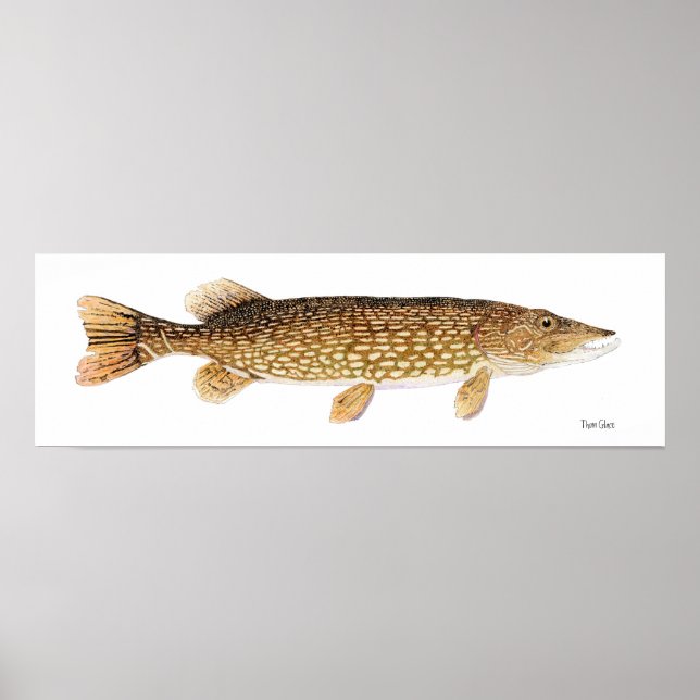 Northern Pike Art Poster (Vorne)
