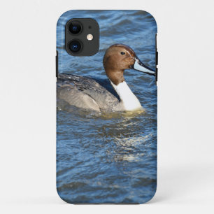 Northern Pintail Duck Case-Mate iPhone Hülle