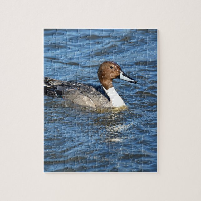 Northern Pintail Duck Puzzle (Vertikal)