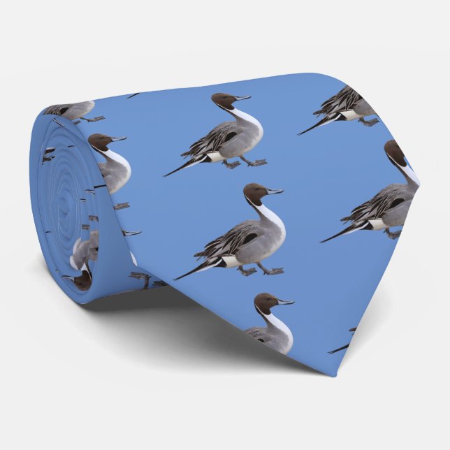 Northern Pintail Krawatte (Gerollt)