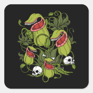 Northern Pitcher Sarracenia Quadratischer Aufkleber