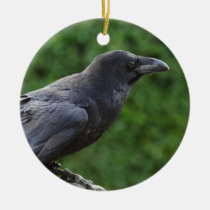 Northern Raven Keramikornament