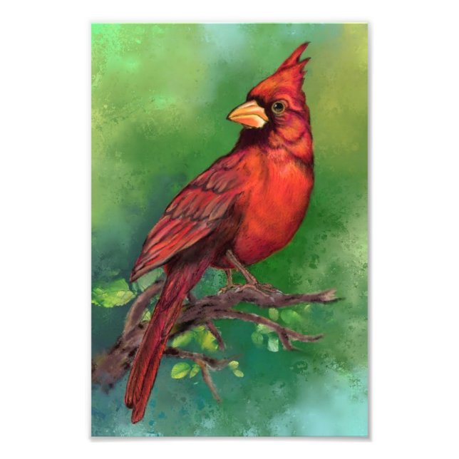Northern Red Kardinal Bird Foto Print (Vorne)