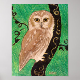 Northern Saw Whet Owl von Carol Zeock Poster