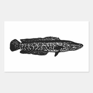 Northern Snakehead Rechteckiger Aufkleber