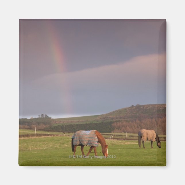Northumberland, England Magnet (Vorne)