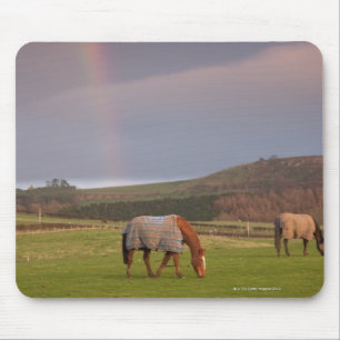 Northumberland, England Mousepad