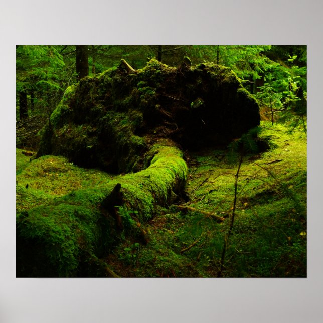Norwegen im Holz Poster (Vorne)