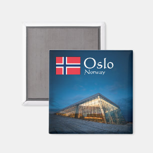 Norwegen Oslo Souvenir Magnet