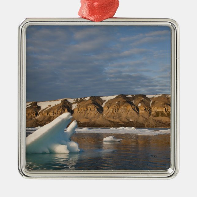 Norwegen, Svalbard, Spitsbergen Island, Setting Silbernes Ornament (Vorne)