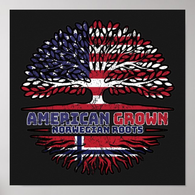 Norwegen USA USA USA Vereinigte Staaten Poster (Vorne)
